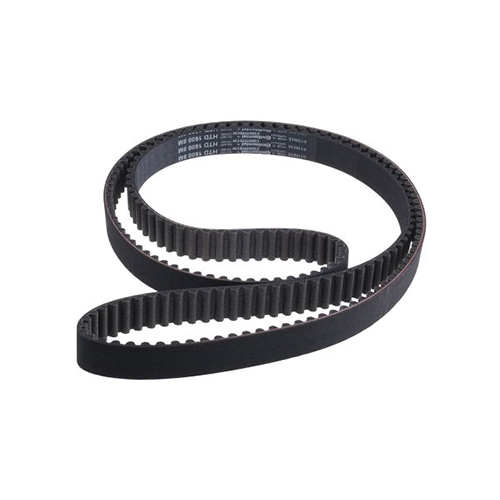Timing V Belt